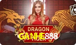 Dragon Tiger